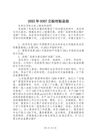 20XX年0307立标对标总结 