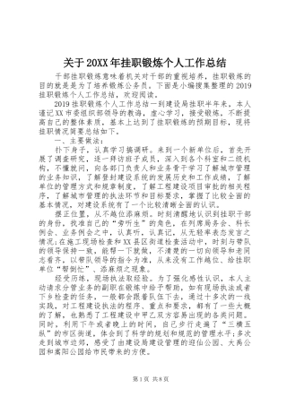 关于20XX年挂职锻炼个人工作总结