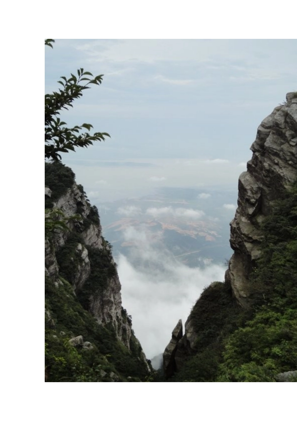 庐山的云雾图片_第1页