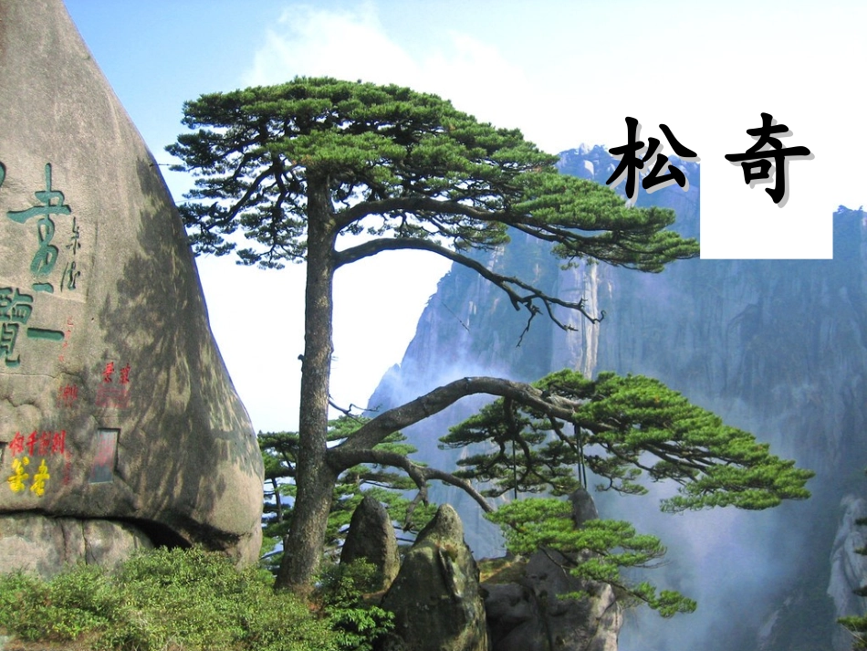 黄山奇松 (2)_第3页