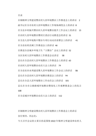 环境整治讲话、发言