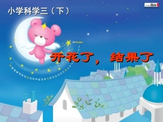 开花了，结果了
