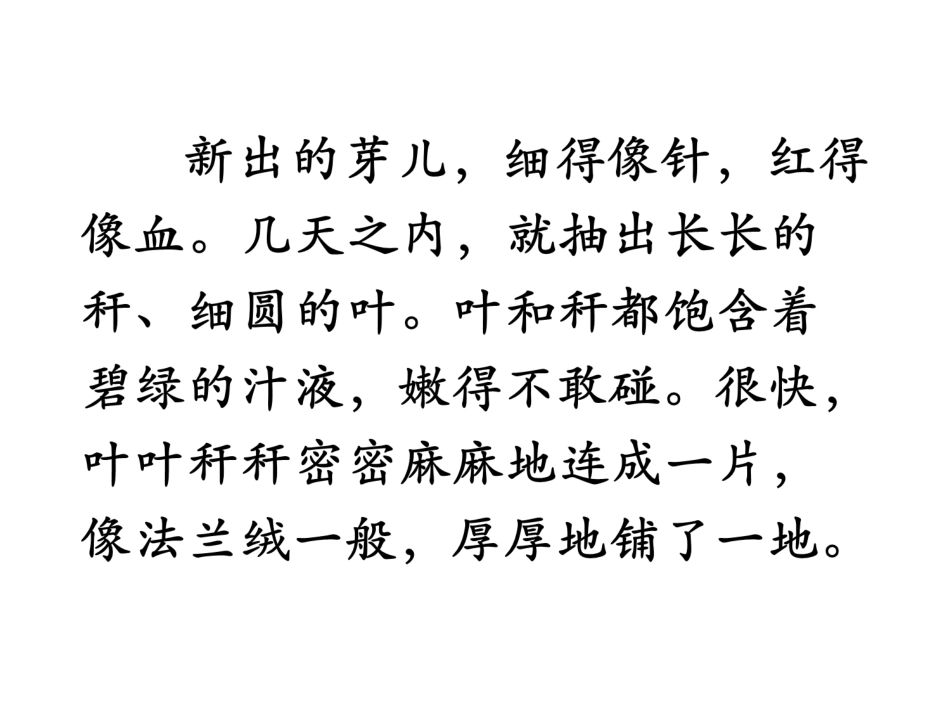 种一片太阳花_第2页