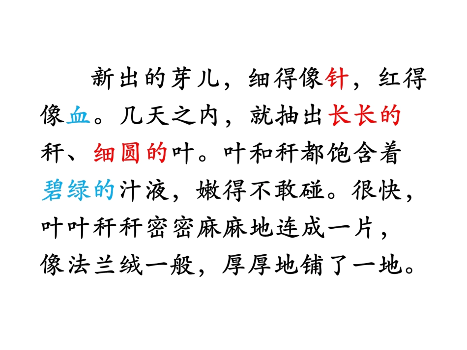 种一片太阳花_第3页