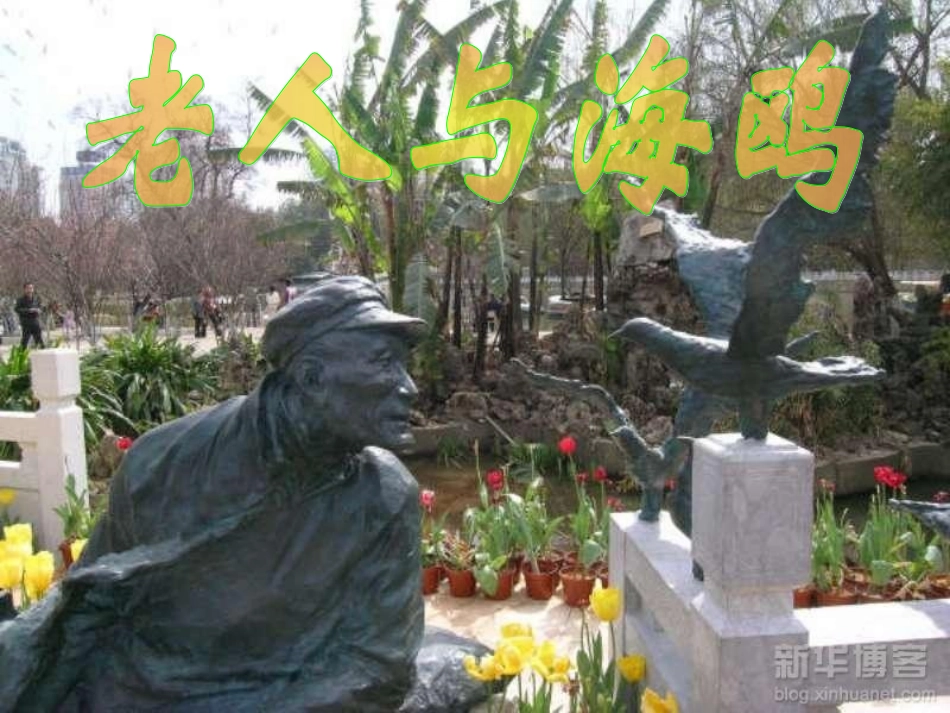 老人与海鸥课件_第1页