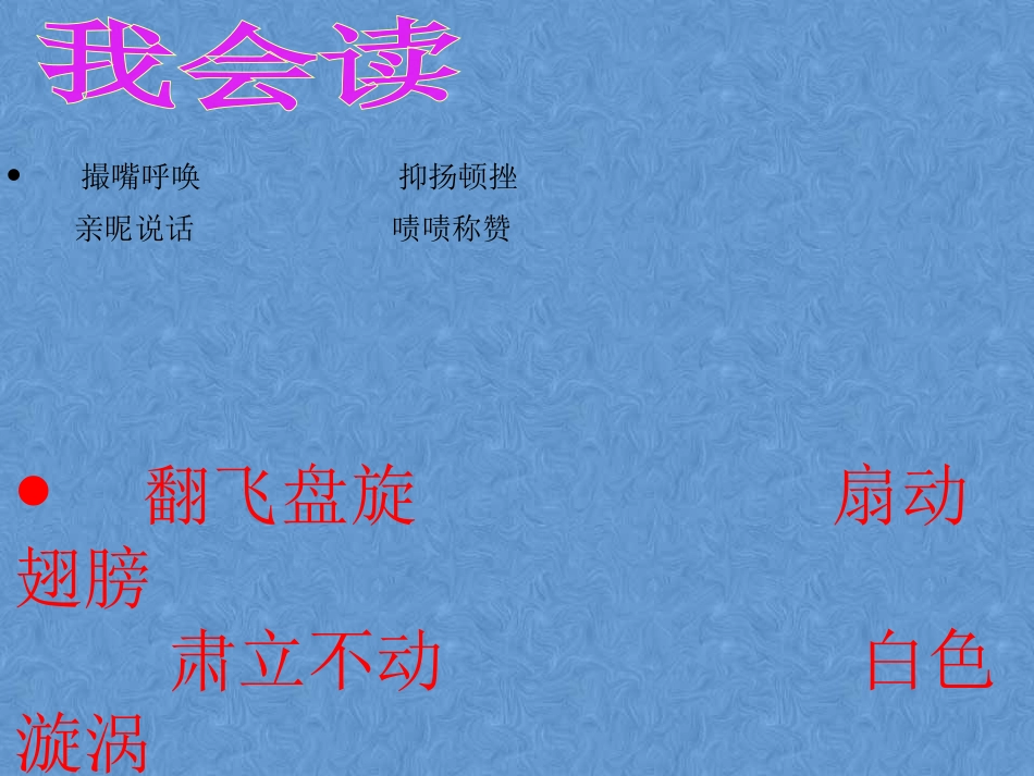 老人与海鸥课件_第2页