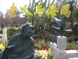 老人与海鸥课件