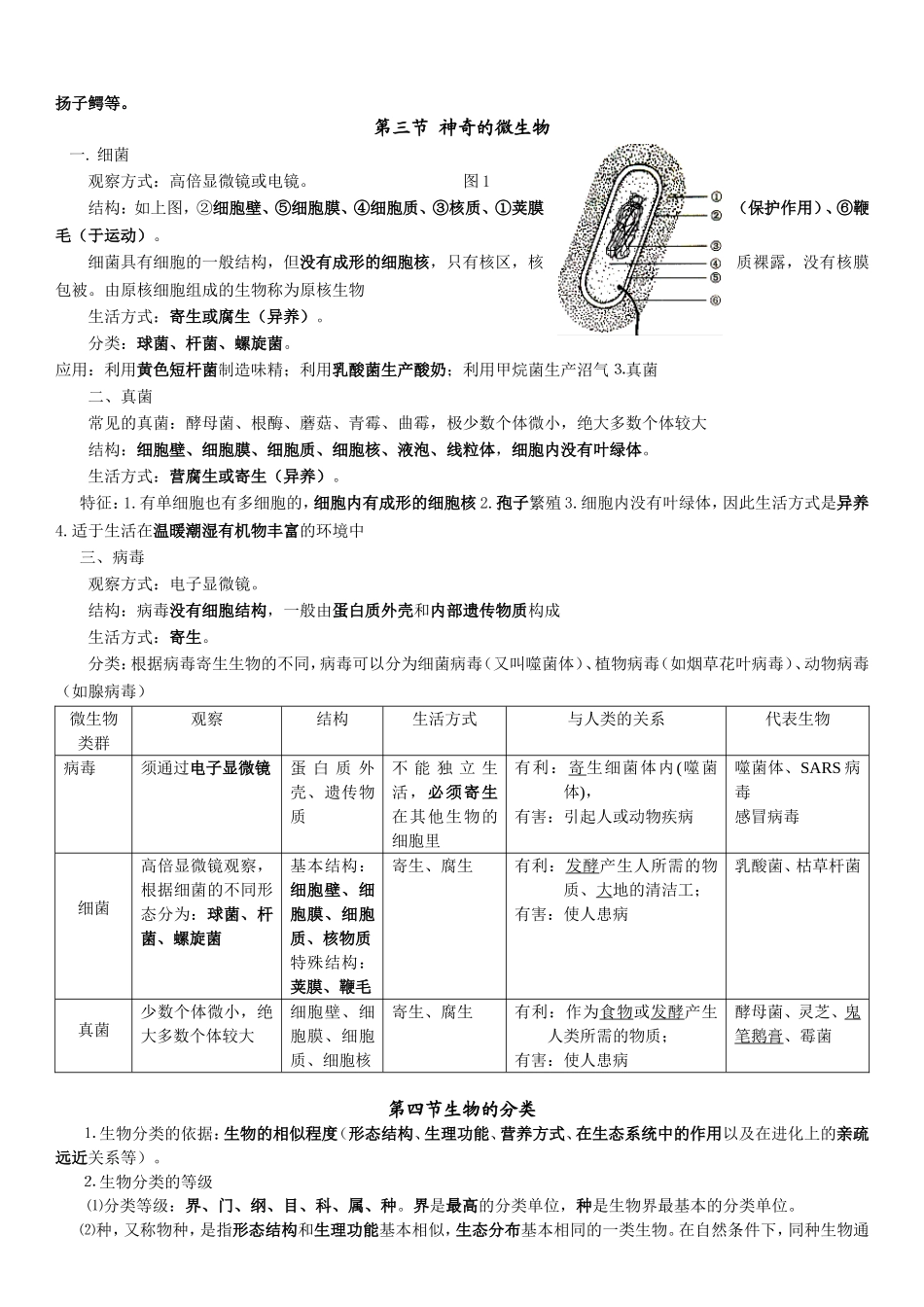 生物复习提纲_第3页