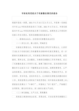 市财政局党组关于巡察整改情况的报告