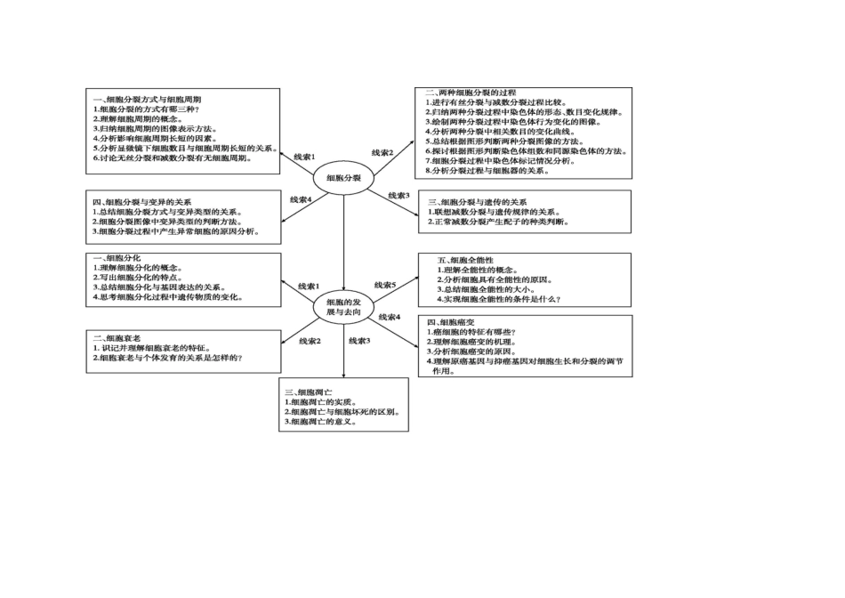 高三复习概念图_第3页
