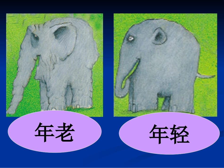 花格子大象艾玛_第2页