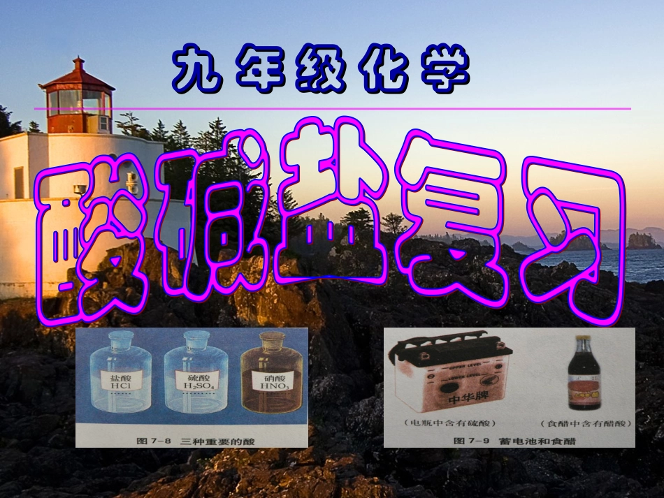 酸碱盐复习课件_第1页