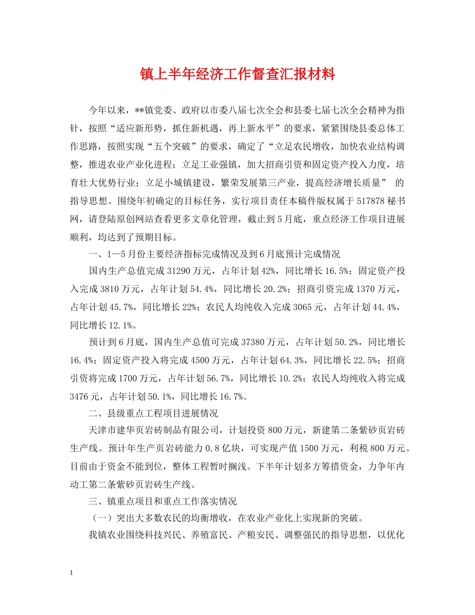 镇上半年经济工作督查汇报材料 _第1页