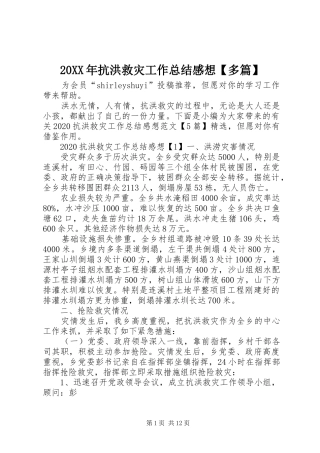 20XX年抗洪救灾工作总结感想【多篇】