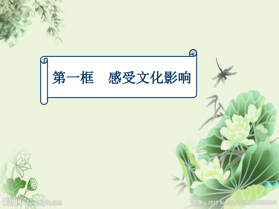感受文化影响_第1页