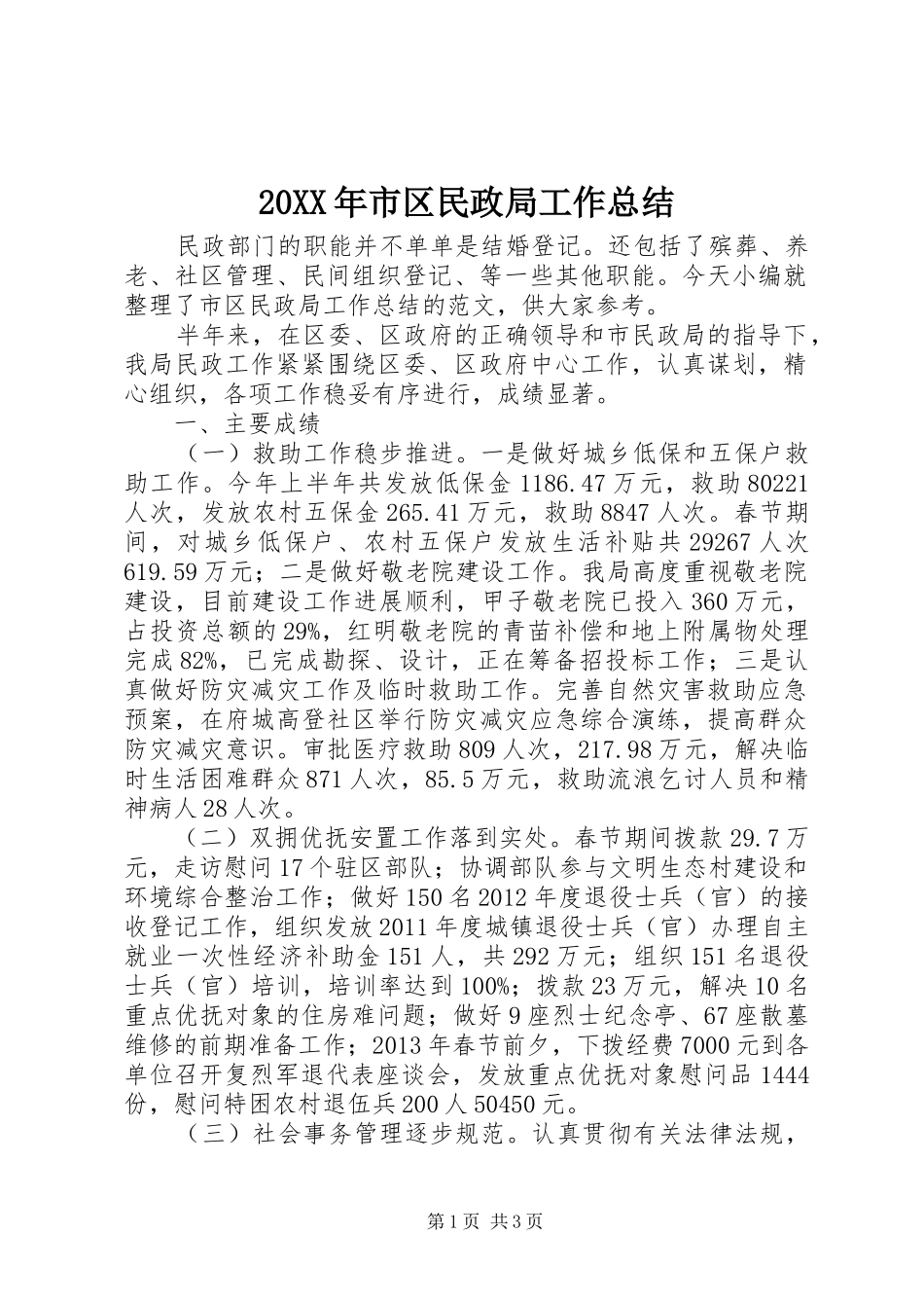 20XX年市区民政局工作总结_第1页