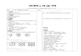第一节细胞分裂