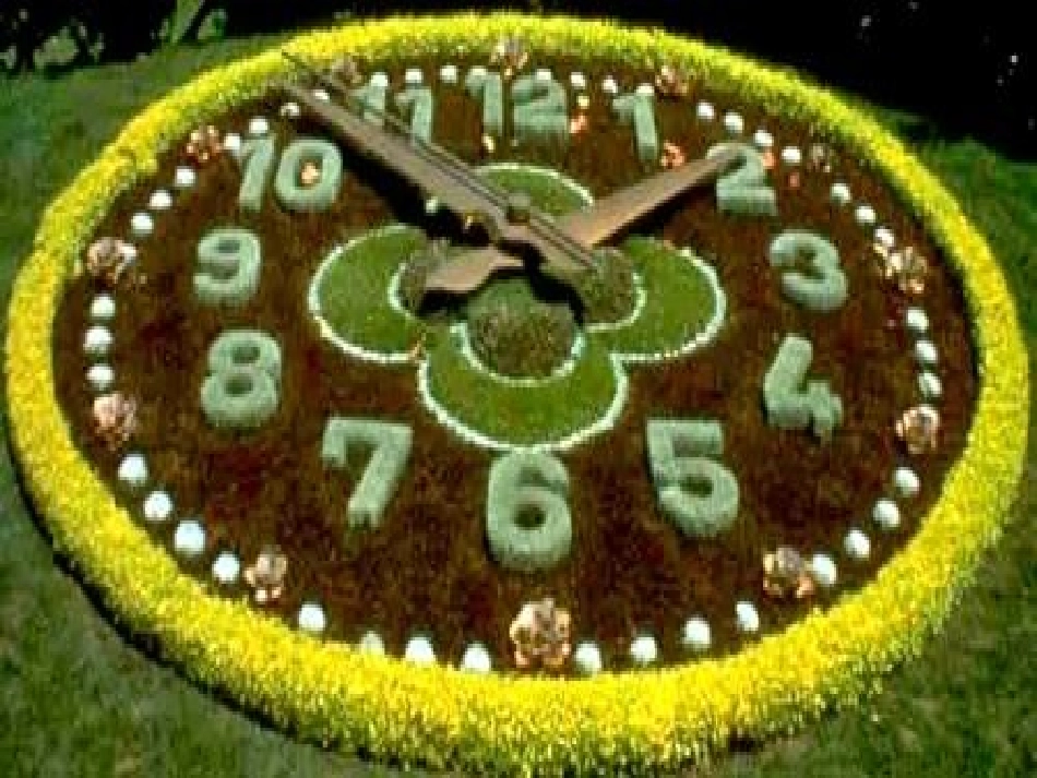 花钟课件 (2)_第1页