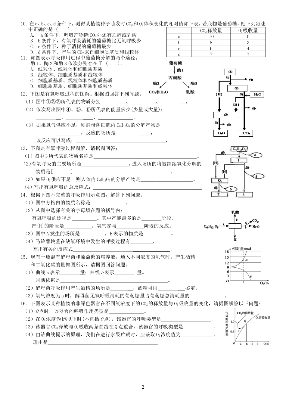 细胞呼吸小作业_第2页