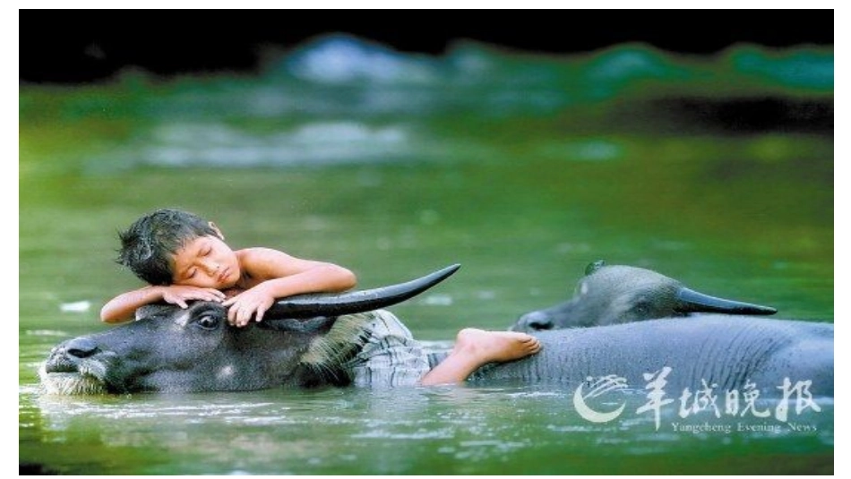 歌曲《水牛儿》_第3页