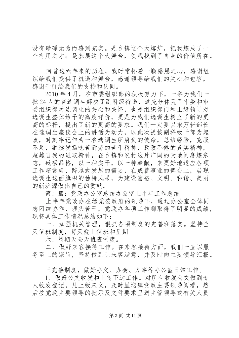 党政办公室工作总结 _第3页