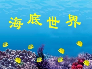 海底世界修改2