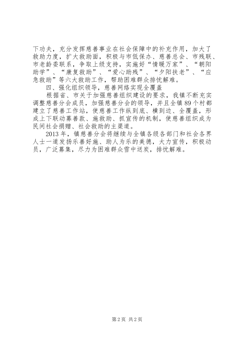 慈善分会工作总结 _第2页