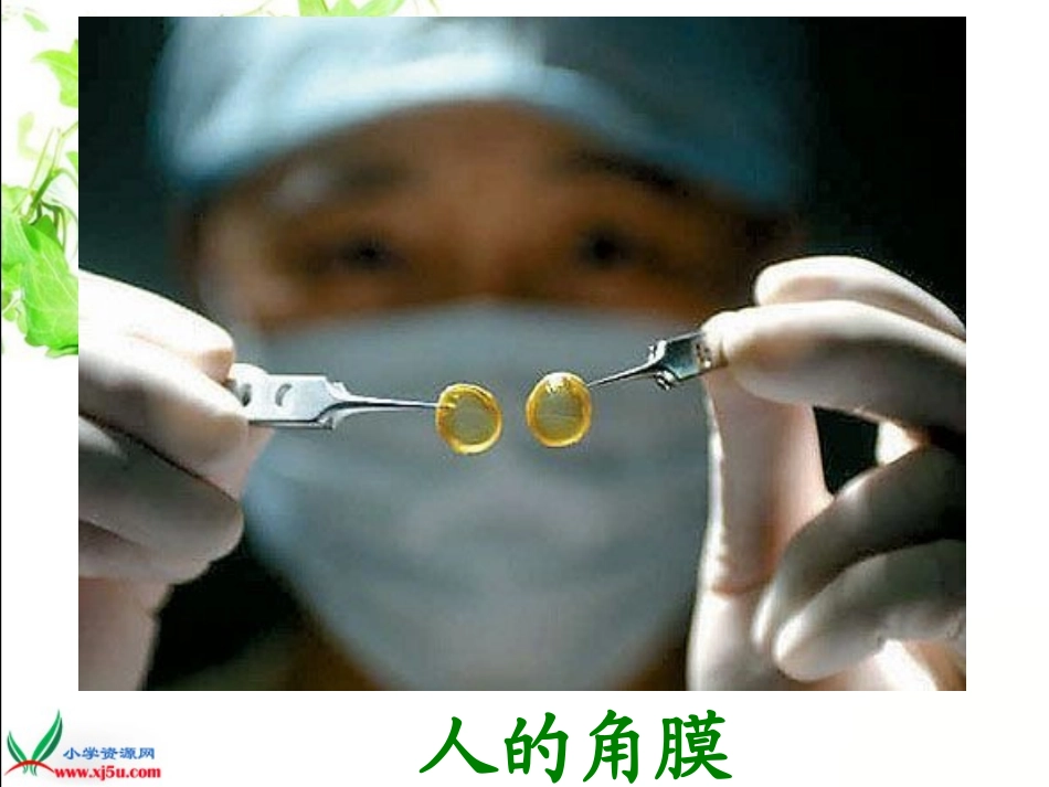 永生的眼睛00_第2页