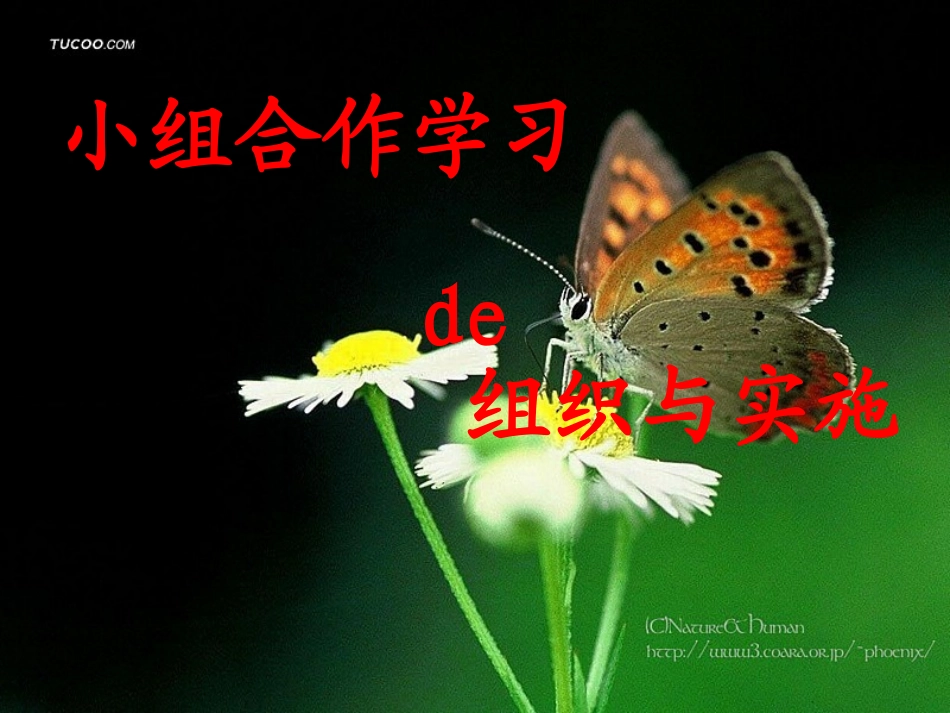 小组合作学习_第1页