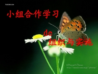 小组合作学习