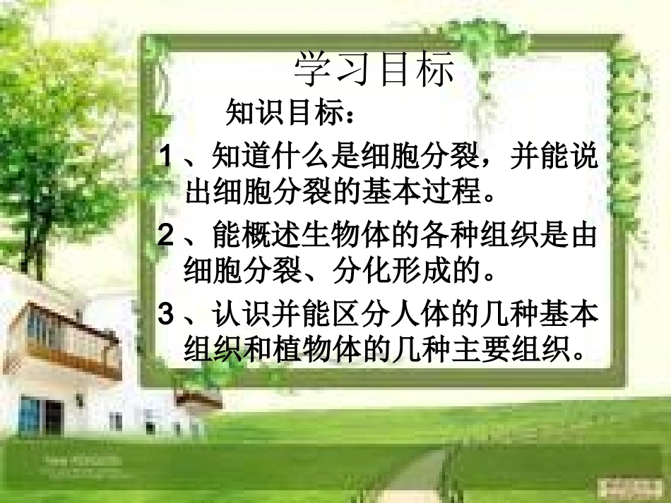 细胞分裂与分化_第2页