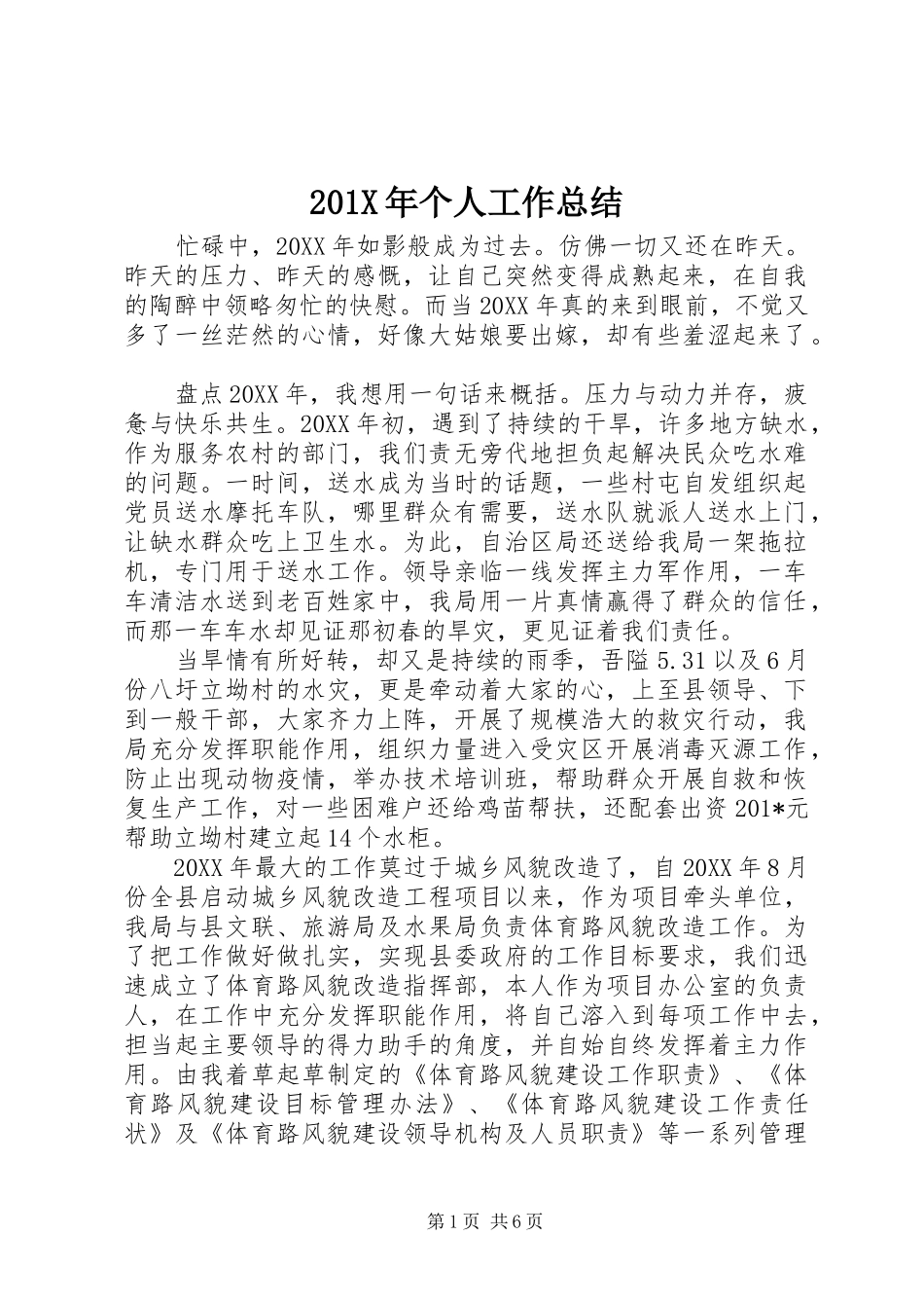 202X年个人工作总结 _第1页