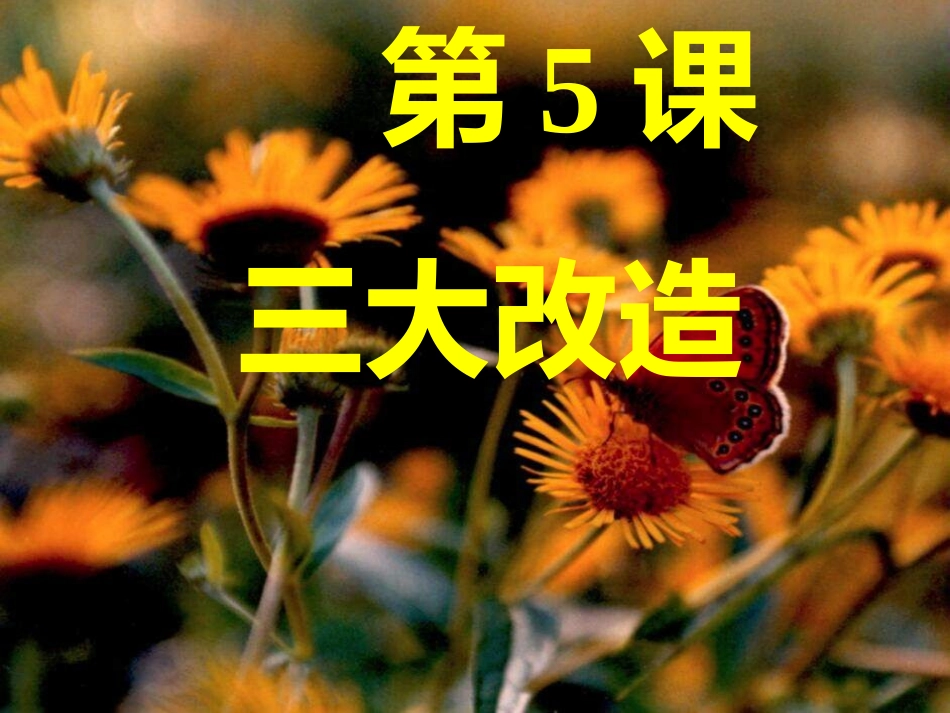 第5课三大改造_第1页