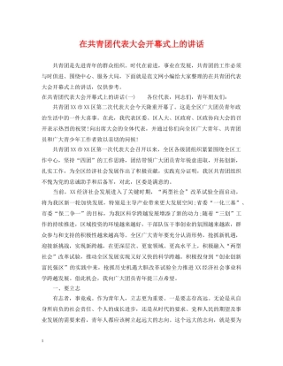 在共青团代表大会开幕式上的讲话 