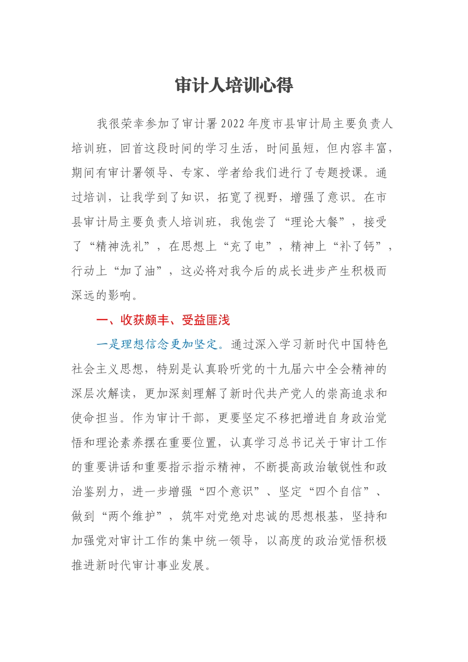 审计人培训心得_第1页