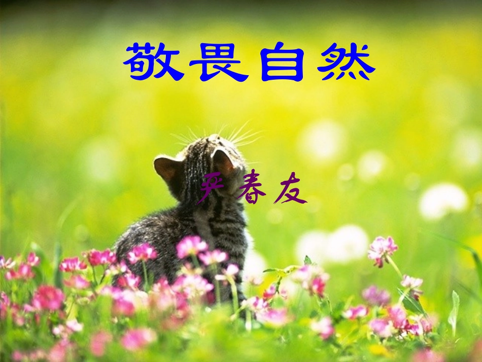 敬畏自然 (5)_第1页