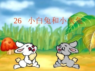 小白兔和小灰兔