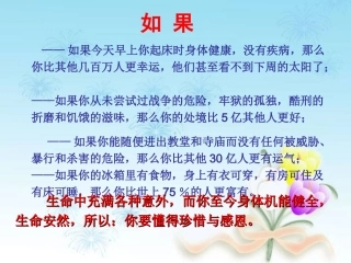 生命与和平相爱