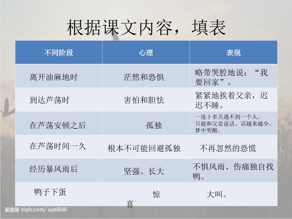 孤独之旅 (2)_第3页