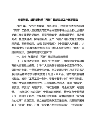 市委常委、组织部长抓“两新”组织党建工作述职报告