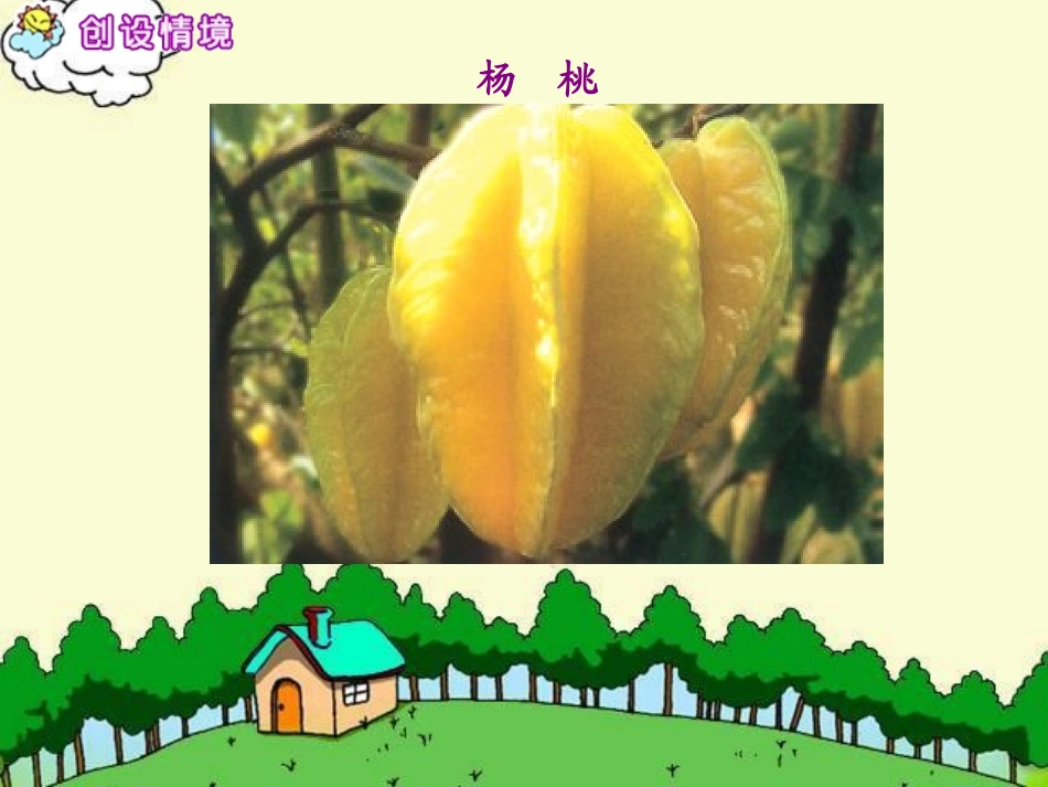 画杨桃课件1_第3页