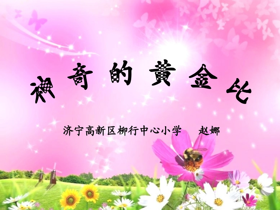 神奇的黄金比_第1页