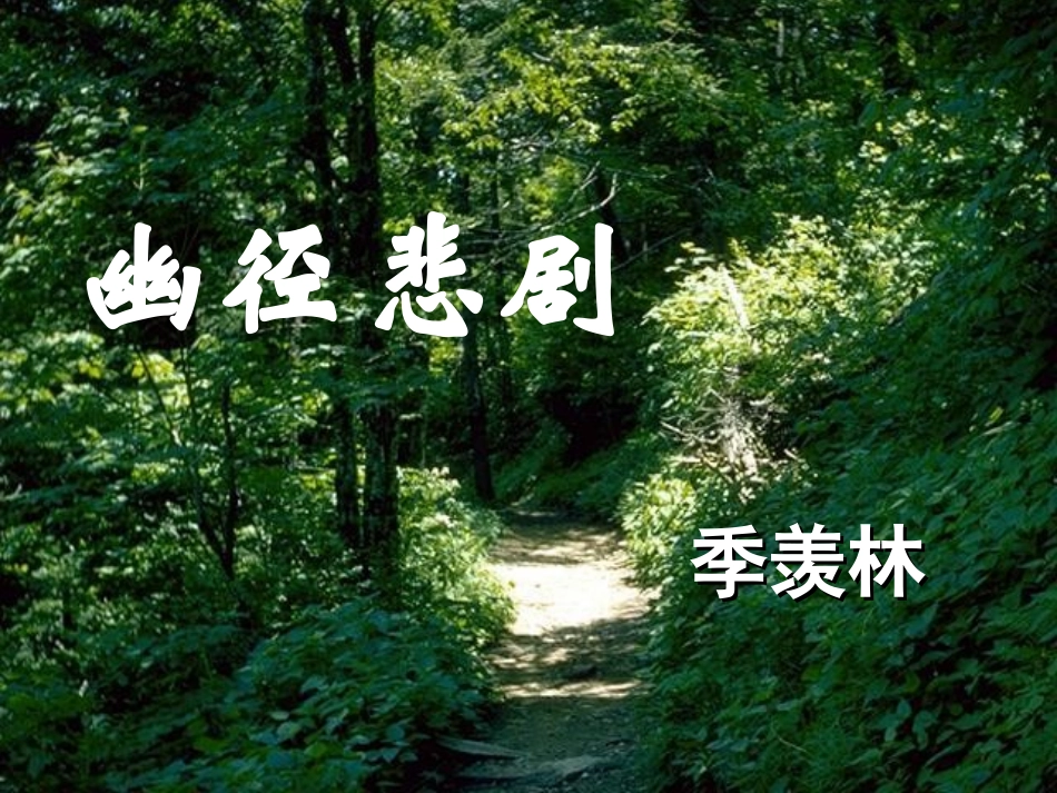 幽径悲剧备用_第1页