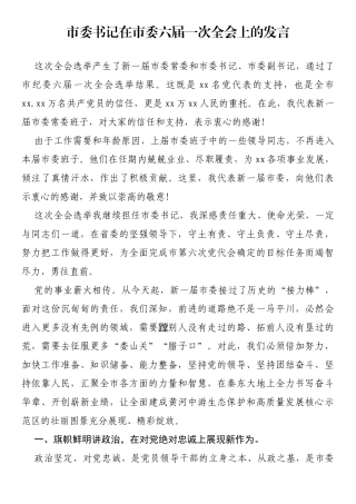 市委书记在市委六届一次全会上的发言