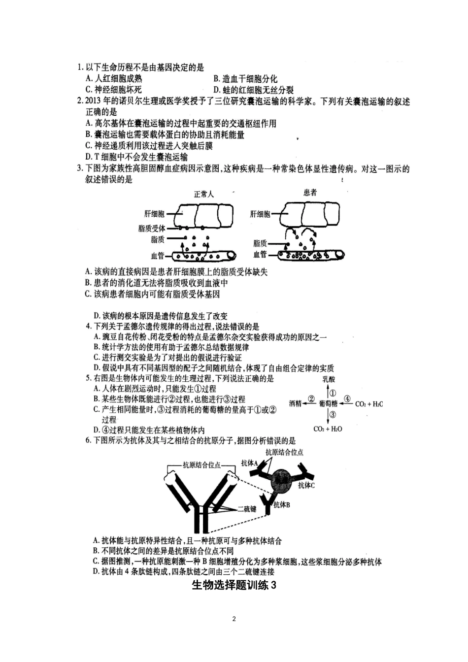 生物选择题训练_第2页