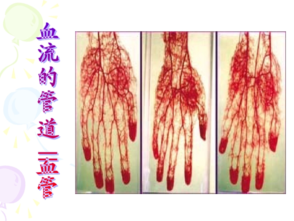 心脏和血管课件_第3页