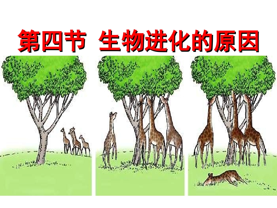 生物进化的原因_第1页