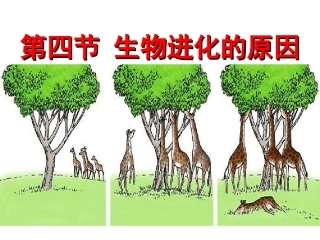 生物进化的原因