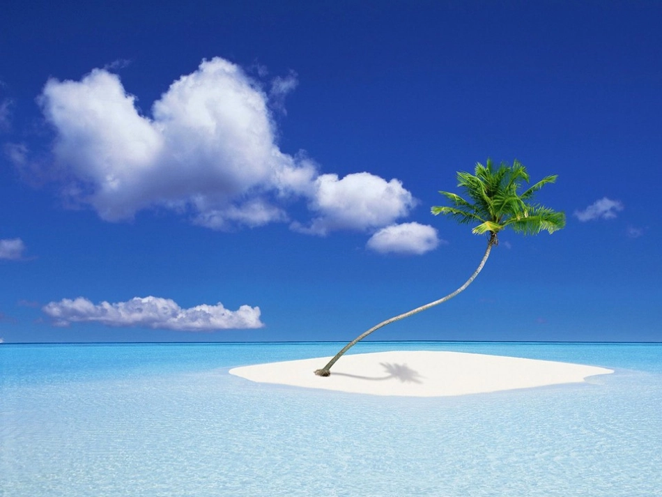 敬畏自然 (4)_第2页