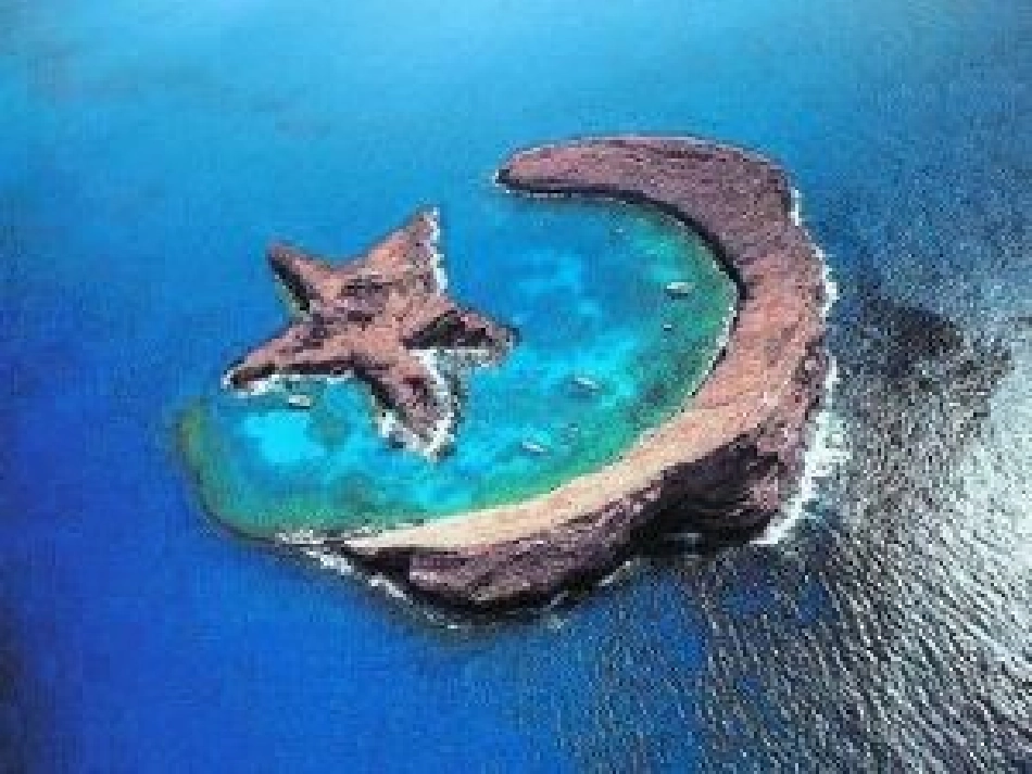 敬畏自然 (4)_第3页